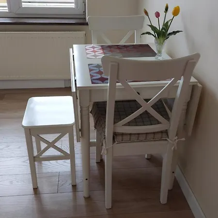 Apartamentai Gertruda * Druskininkai