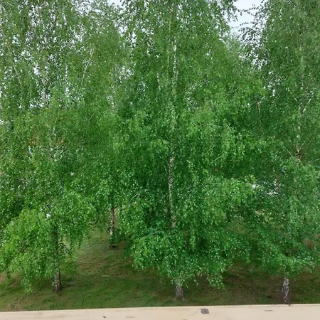 Apartamentai Gertruda Apartment Druskininkai
