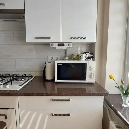 Apartamentai Gertruda Apartment Druskininkai